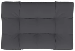 vidaXL Bankkussen pallet 120x80x10 cm antracietkleurig