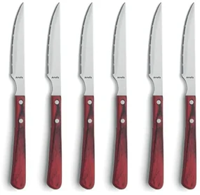 Amefa Steakmessen 6 st Brasero