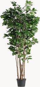 Kunstplant Roble