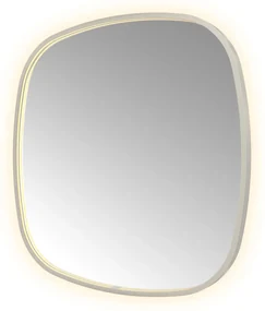 Hotbath &More Contour spiegel deens ovaal 80x80cm RVS