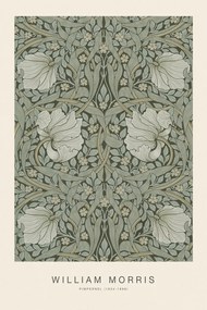 Kunstdruk Pimpernel (Special Edition Classic Vintage Pattern) - William Morris, (26.7 x 40 cm)