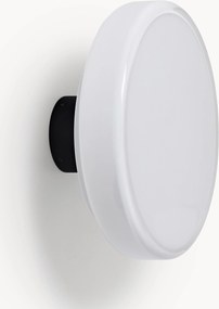 Dimbare LED-wandlamp Caramel, in verschillende formaten