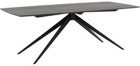 Goossens Excellent Eettafel Uniek, Semi rechthoekig 260 x 100 cm