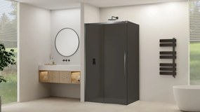 Van Rijn ST09 hoekcabine met rookglas 100x120cm geborsteld gun metal