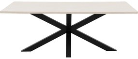 Goossens Eettafel Stone, Rechthoekig 210 x 110 cm
