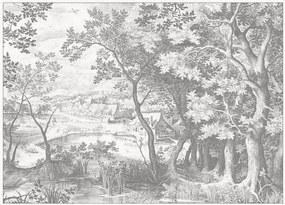 Vliesbehang Engraved Landscapes
