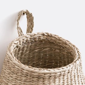 Mand in herbarium, Odura