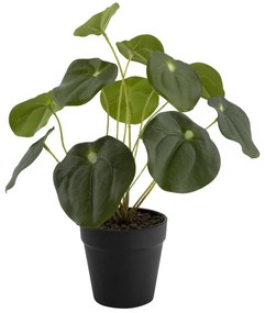 HEMA Kunstplant Pannenkoekenplant (groen)