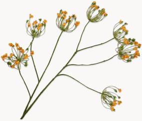 Handgemaakte kunsttakken Queen An Lace, 3-delig