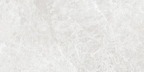 Mexen Lizard Silver geglazuurde gerectificeerde gres G1, vloer- en wandtegel 120 x 60 cm, glans - TL109-120-060-03