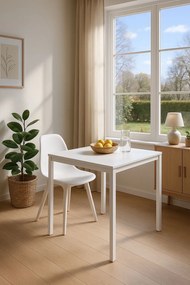 Dino Vierkante Tafel 65 cm