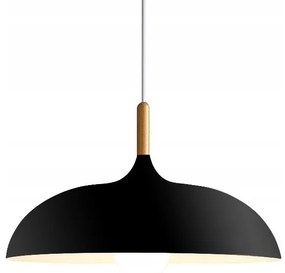 ANZO Zwarte plafondlamp