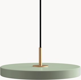 LED-hanglamp Asteria, in verschillende formaten