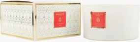 3-lonts geurkaars Cinnamon Spice (mandarijn & kaneel)