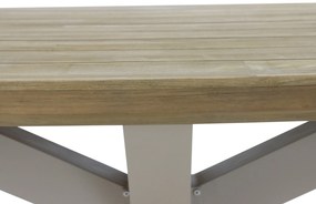 Dining Tuintafel ovaal 280 x 130 cm Aluminium/Teak Taupe Santika Diogo