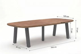Dining Tuintafel rechthoekig 300 x 100 cm antracite Grijs Falcon/Glasgow