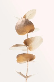 Ilustratie Eucalyptus Gold No 06, Studio Collection, (26.7 x 40 cm)