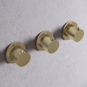 Saniclear Plus Curved Pro inbouw badkraan met 20cm uitloop geborsteld messing - mat goud