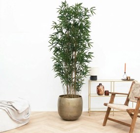 Kunst Bamboe - 210cm