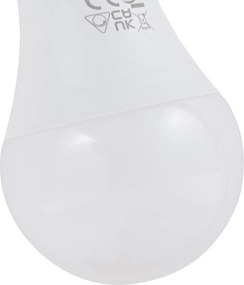 Set van 3 smart E27 dimbare LED lampen A60 9W 806 lm 2700K-6500K incl. Zigbee Smart Hub