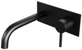 BRAUER Stripe Inbouw Wastafelmengkraan - gebogen uitloop en afdekplaat - model A1 - mat zwart 5-S-329