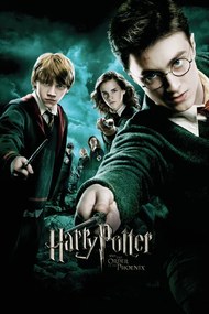 Kunstafdruk Harry Potter and The order of the Phoenix