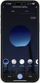 Smart wandlamp rond goud incl. 2 Wifi g9 - Pulley