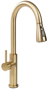 Keukenkraan Rea Nest Gold Brush