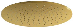 Plieger Roma hoofddouche 30cm messing geborsteld