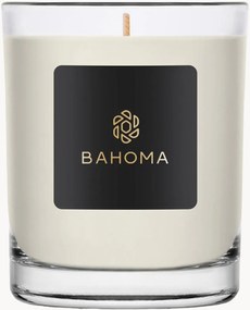 Met de hand gegoten grote kaars Alchemy (amber, salie)