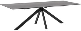 Goossens Excellent Eettafel Uniek, Rechthoekig 260 x 100 cm