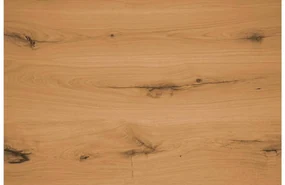 Goossens Eettafel Tijn, 160 x 100 cm