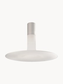 Dimbare plafondlamp Louis