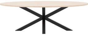Goossens Eettafel Stone, Ovaal 240 x 120 cm