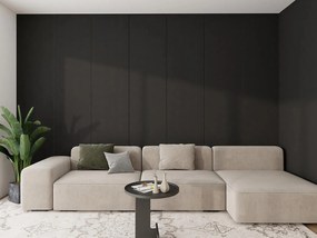 Decor Paneel Zwart 260x60x2,1cm - 270 cm x 60 cm x 2.1 cm | 10 kg | Paneli akoestische wandpanelen - AKU Wandpanelen