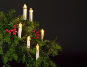 Anna's Collection - Lichtsnoer met ledkaarsen - 12,5 m - 50 warmwitte ledkaarsen