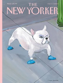 Ilustratie The NY Magazine Cover 132