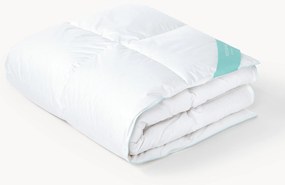 Zuiver donzen cassette-dekbed Premium, warm