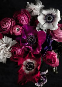 Foto Dark Flowers 1, Mareike Bohmer