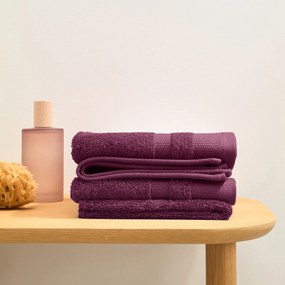 Set van 4 Egyptisch katoenen gastendoekjes 600g/m², Kheops