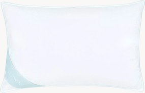 Veren hoofdkussen Comfort, stevig