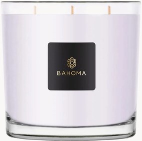 XXL kaars in een doos (wilde heide & eikenhout)