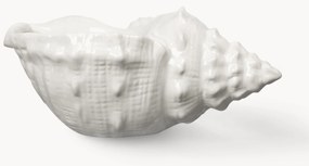 Schaal Awa van dolomiet