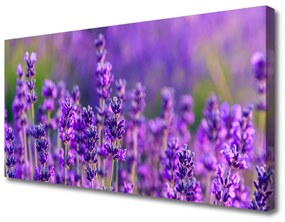 Canvas doek foto Paarse lavendel field 100x50 cm