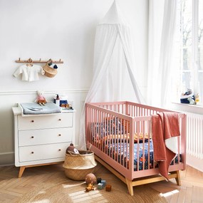 Bolvormige mand in herbarium, Rixy