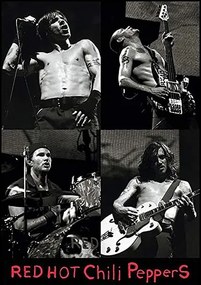 Poster Red hot chili peppers Live, (61 x 91.5 cm)
