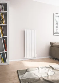 Eastbrook Addington type 10 radiator 50x120cm staal 923W wit glans