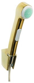 Hansgrohe bidetset handdouche-slang-houd polished gold optic 32129990