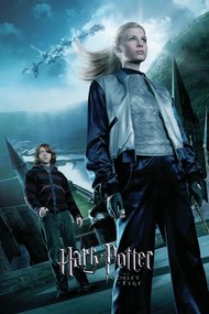 Kunstafdruk Harry Potter and the Goblet of Fire - Fleur