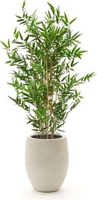 Kunstplant Designplants Luca Lifestyle | Groen Kunststof | Inclusief bloempot | ø50x50cm | Geschikt voor buiten en binnen | Kees Smit Tuinmeubelen